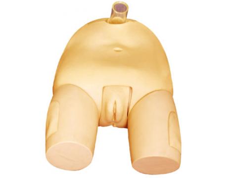 女性膀胱穿刺<font color=red>模型</font>KAS-29F