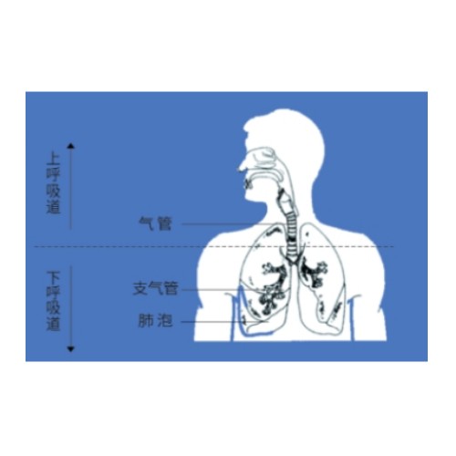 空氣壓縮式霧化優(yōu)勢