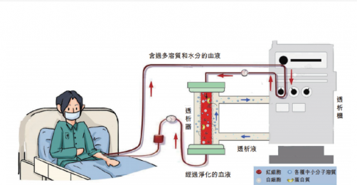 血液透析機(jī)全國(guó)知名實(shí)力廠(chǎng)家-朗逸醫(yī)療代理