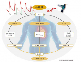  意大利MostCare血流動力學(xué)監(jiān)測儀 ，快速、簡單、可靠！