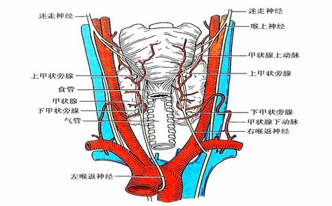 2025-02-12_術(shù)中喉返神經(jīng)監(jiān)測(cè)儀_3